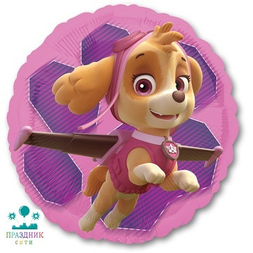 ШАР (Фольга) А 18 in Щенячий патруль Скай и Эверест