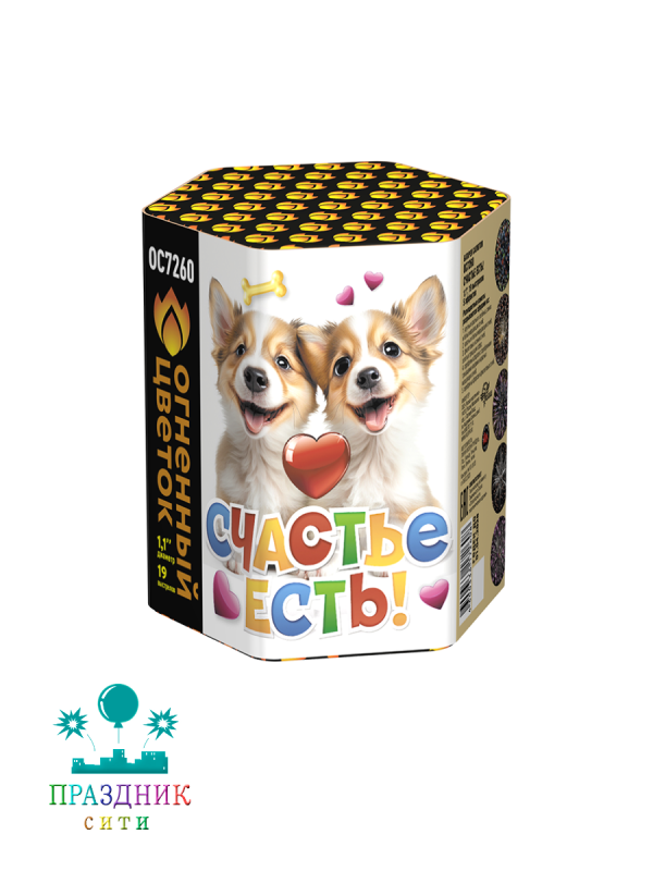 СЧАСТЬЕ ЕСТЬ 19 выстрелов - батарея салютов