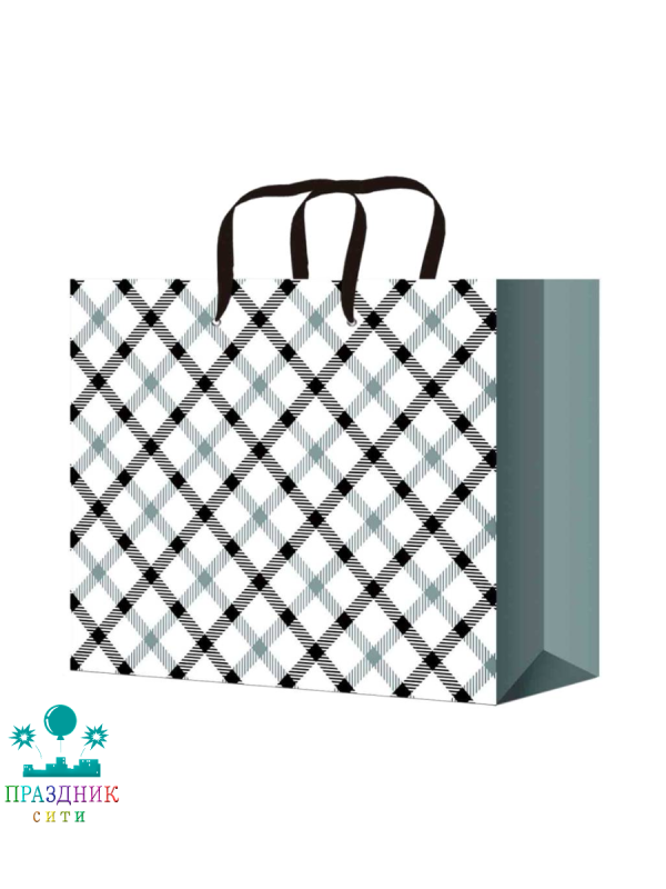 ПАКЕТ Стильная клетка 22x31x10 см