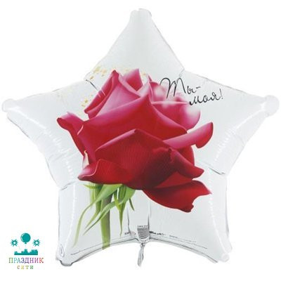 ШАР (Фольга) Г 18 in РУС ТЫ МОЯ