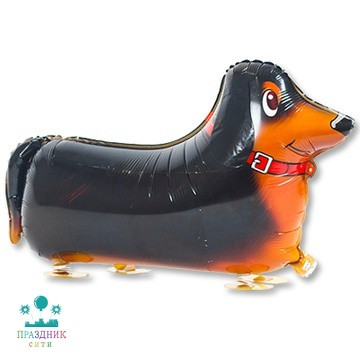 ШАР (Фольга) К ХОД 18 in Такса