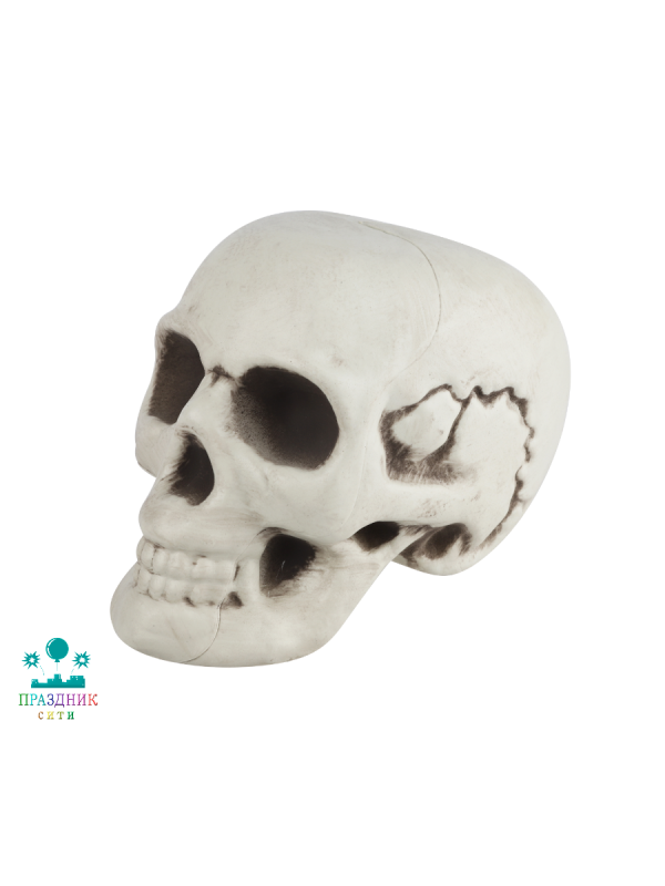 ЧЕРЕП 18*13,5*12 см