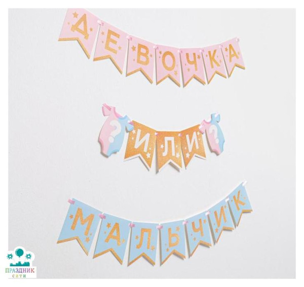 ГИРЛЯНДА Мальчик или Девочка Гендер пати  2,2м