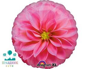 ШАР (Фольга) А 18 in Цветок Астра розовая