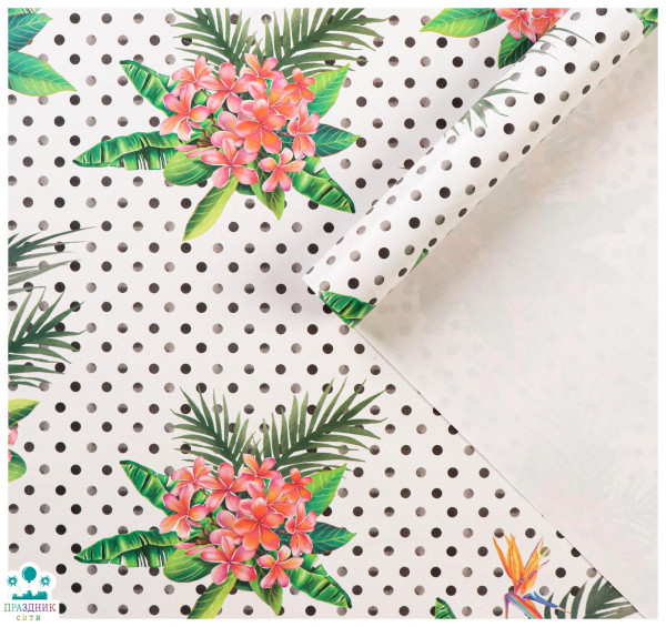 БУМАГА Тропики, глянцевая, 50 × 70 см