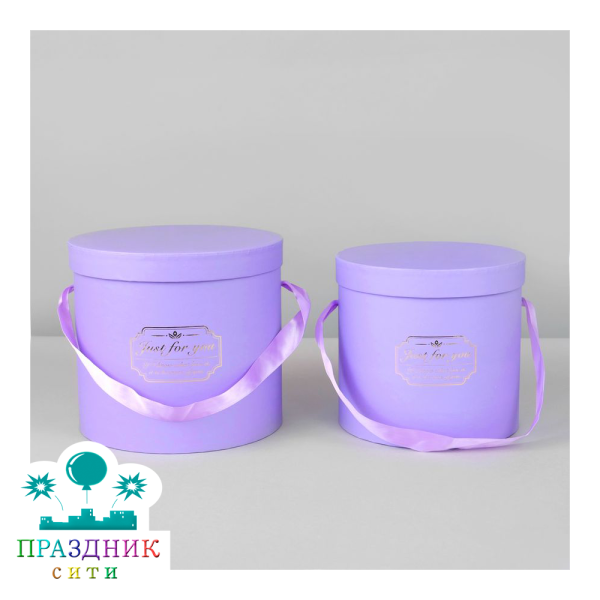 КОРОБКА Фиолетовый цилиндр H21,5хD18см