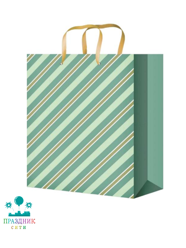 ПАКЕТ Штрихи 18x23x8см