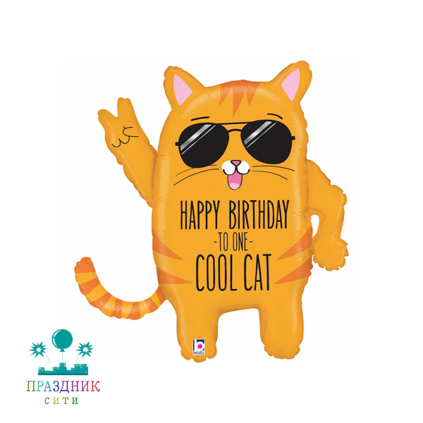ШАР (Фольга) Б ФИГУРА 50 in HB TO ONE COOL CAT Кот