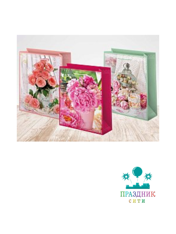 ПАКЕТ Женский 18х23см