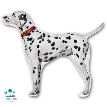 ШАР (Фольга) А ФИГУРА 60 in STREET Далматинец