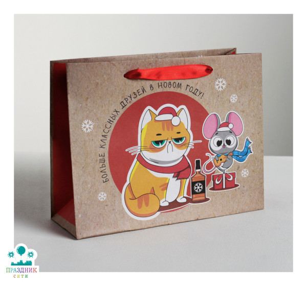 ПАКЕТ Больше классных друзей, крафт 23 х 18 х 8см