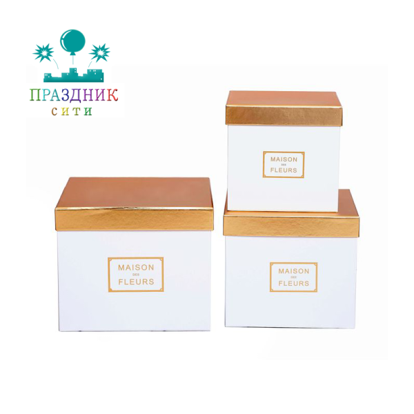 КОРОБКА MAISON прямоугольник 19х15х10см, белый, золотая крышка