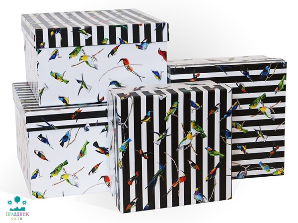 КОРОБКА Экзотические птицы, квадрат 23х23х13 см