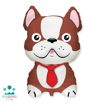 ШАР (Фольга) Ф ФИГУРА 35 in Бульдог коричневый