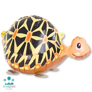ШАР (Фольга) К ХОД 23 in Черепаха