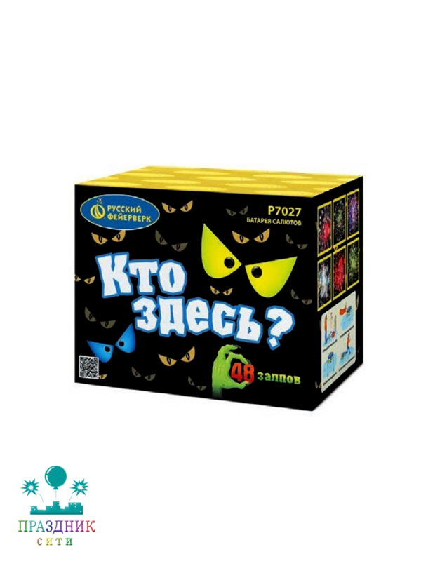 КТО ЗДЕСЬ? 48 выстрелов - батарея салютов