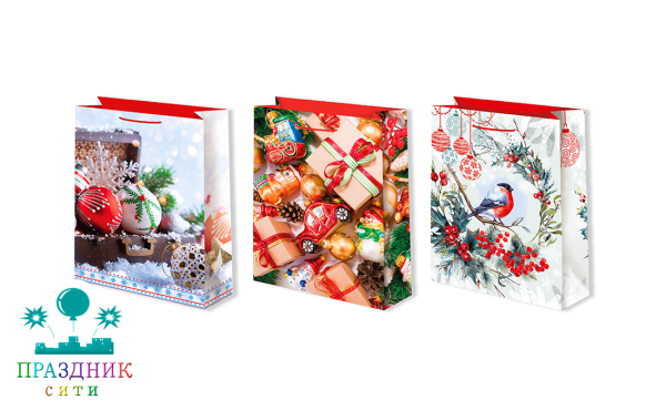 ПАКЕТ подарочный НГ 14х20 см