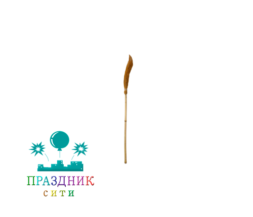 МЕТЛА ведьмы