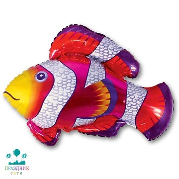 ШАР (Фольга) Ф ФИГУРА 31 in Рыба пестрая красная(FM)
