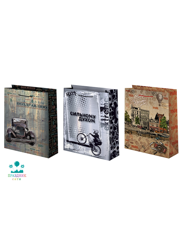 ПАКЕТ Мужской 22х31 см